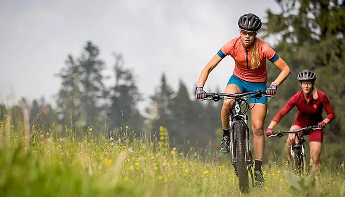 Calvados Normandy Деревянный коттедж *